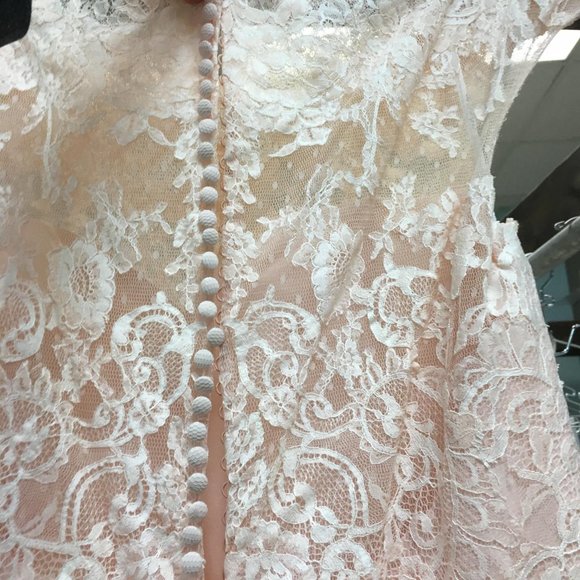 BLUSH Champagne Lace Rustic Wedding Dress, Cap Sleeve, Boat Neck Elegant Mother - Picture 9 of 15